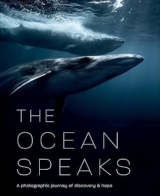 “The Ocean Speaks” by Matt Porteous and Tamsin Raine
